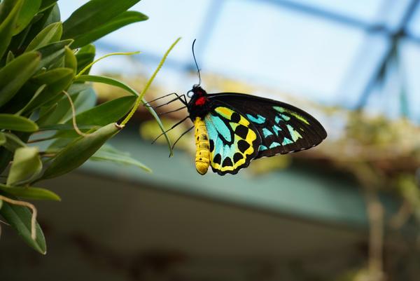 Customer photo 5 of 6. Click to open full size image.