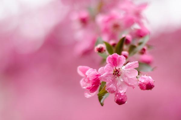 Customer photo 1 of 2. Click to open full size image.