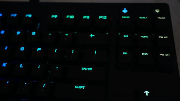 Customer photo 3 of 5. Click to open full size image.