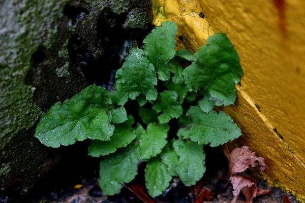 Customer photo 4 of 6. Click to open full size image.