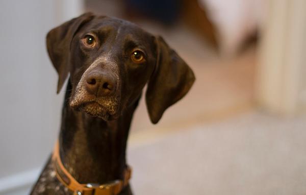 Customer photo 1 of 2. Click to open full size image.