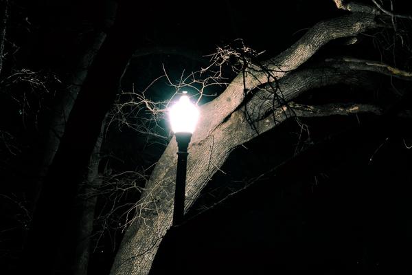 Customer photo 2 of 6. Click to open full size image.