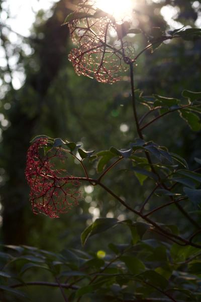 Customer photo 1 of 6. Click to open full size image.