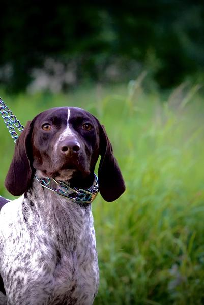 Customer photo 4 of 6. Click to open full size image.