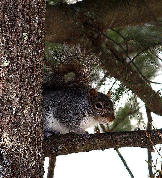 Customer photo 3 of 5. Click to open full size image.