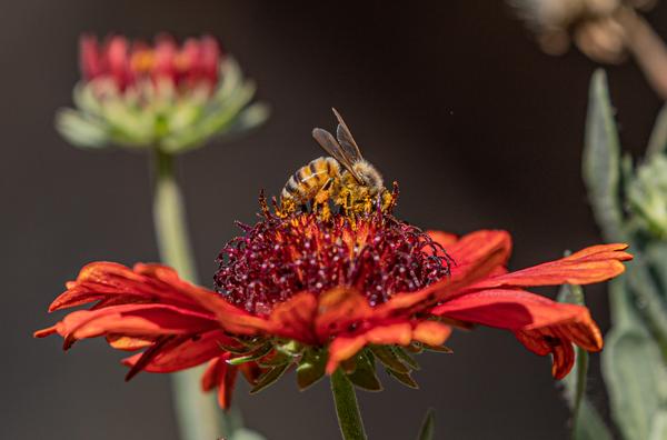 Customer photo 2 of 5. Click to open full size image.