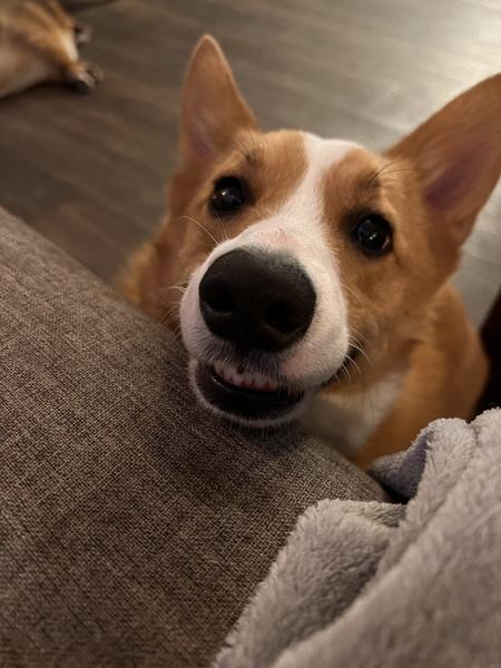 Customer photo 3 of 4. Click to open full size image.