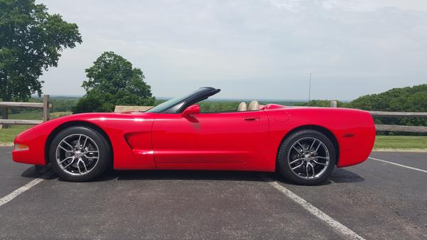 Customer photo 1 of 1. Click to open full size image.