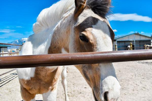 Customer photo 1 of 6. Click to open full size image.