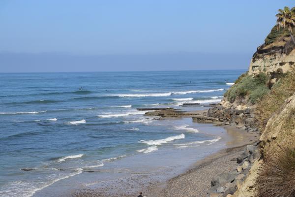 Customer photo 4 of 5. Click to open full size image.