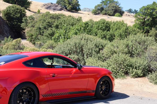 Customer photo 1 of 5. Click to open full size image.