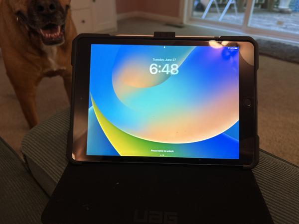 Customer photo 1 of 1. Click to open full size image.