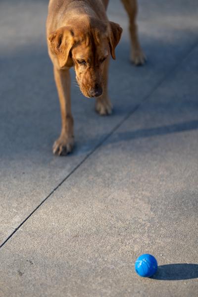 Customer photo 2 of 2. Click to open full size image.