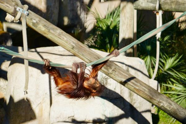 Customer photo 1 of 6. Click to open full size image.