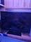 User submitted photo