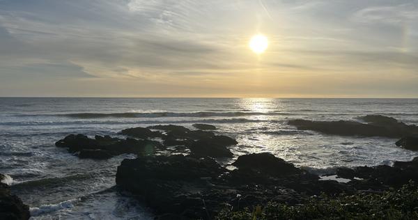 Customer photo 2 of 3. Click to open full size image.