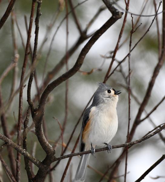 Customer photo 3 of 4. Click to open full size image.