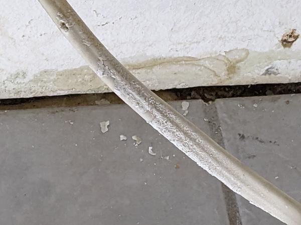 Customer photo 5 of 6. Click to open full size image.