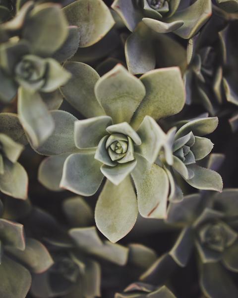 Customer photo 6 of 6. Click to open full size image.