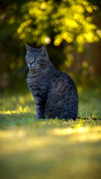 Customer photo 4 of 5. Click to open full size image.