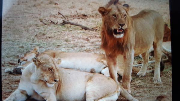 Customer photo 1 of 2. Click to open full size image.