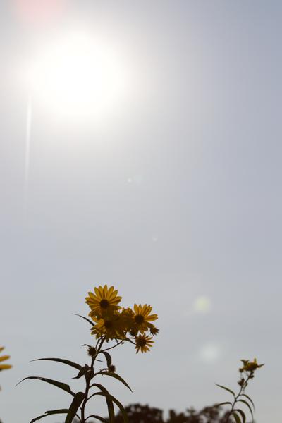 Customer photo 3 of 6. Click to open full size image.