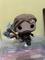 User submitted photo
