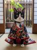 Used Gemini to make her into a Japanese Princess, I loved it, click to load a larger version
