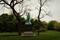 User submitted photo