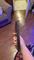 User submitted photo