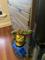 User submitted photo
