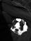User submitted photo