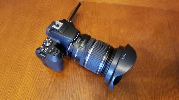 Customer photo 2 of 2. Click to open full size image.