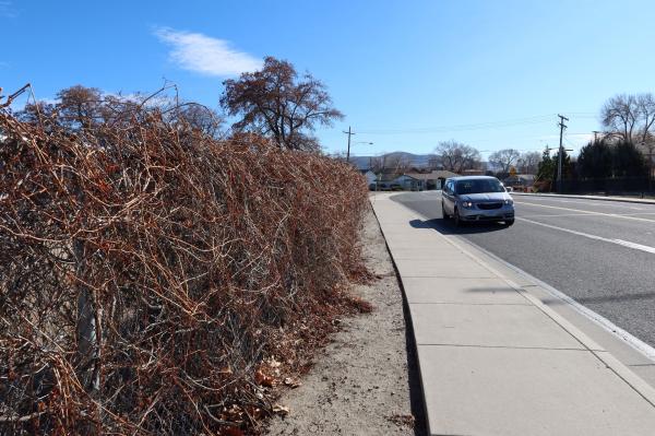 Customer photo 1 of 5. Click to open full size image.