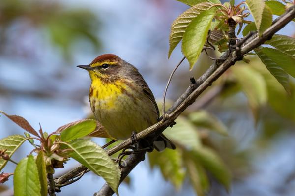 Customer photo 2 of 4. Click to open full size image.