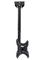 User submitted photo