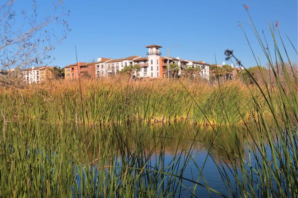 Customer photo 5 of 5. Click to open full size image.