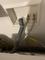 User submitted photo