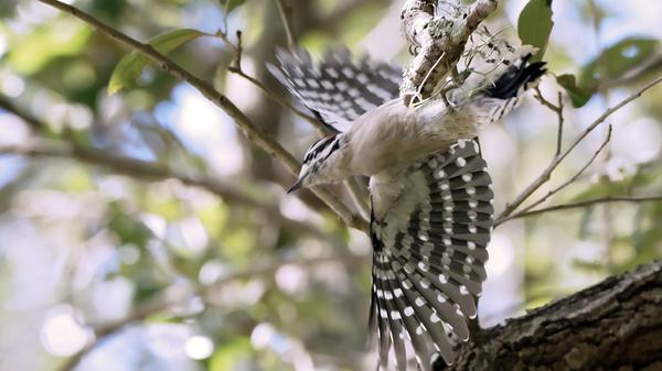 Customer photo 1 of 2. Click to open full size image.