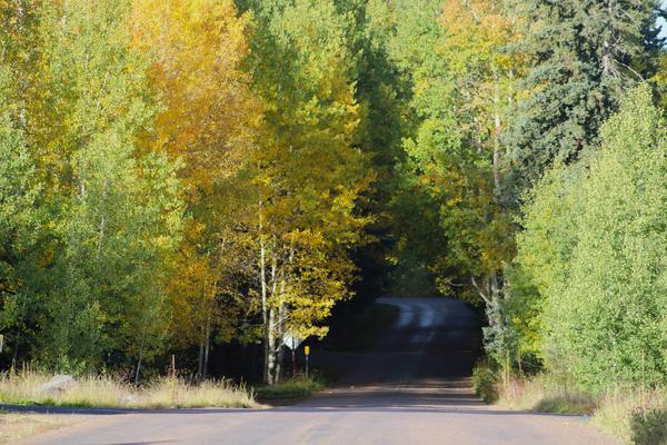 Customer photo 6 of 6. Click to open full size image.