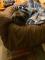 User submitted photo