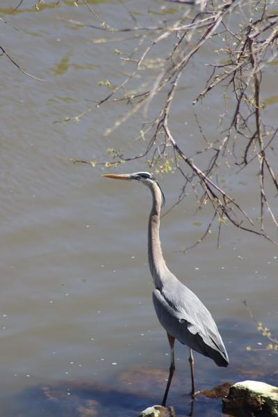 Customer photo 1 of 4. Click to open full size image.