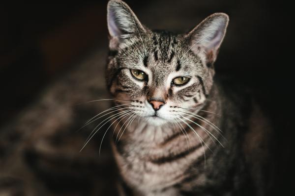 Customer photo 2 of 4. Click to open full size image.