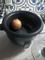 User submitted photo