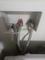User submitted photo