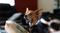 User submitted photo