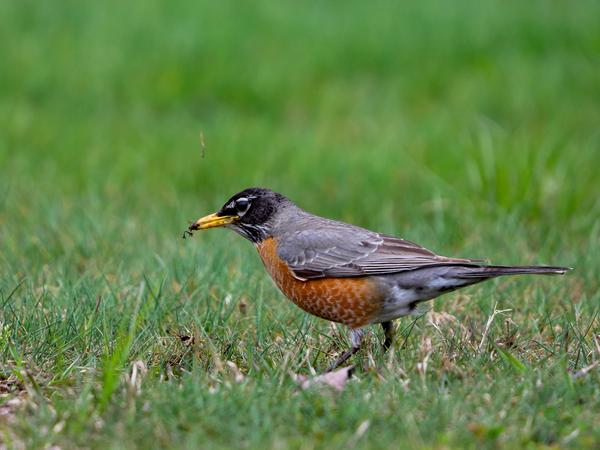 Customer photo 2 of 2. Click to open full size image.