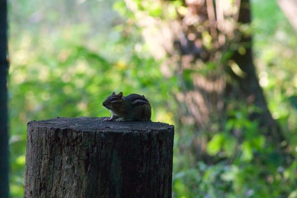 Customer photo 2 of 6. Click to open full size image.