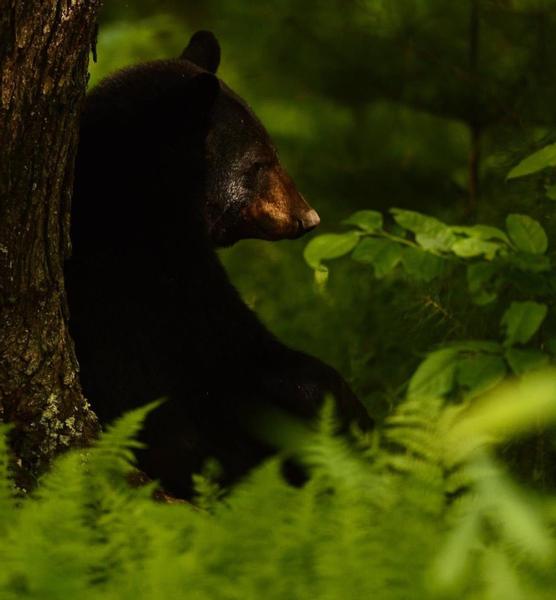 Customer photo 2 of 4. Click to open full size image.