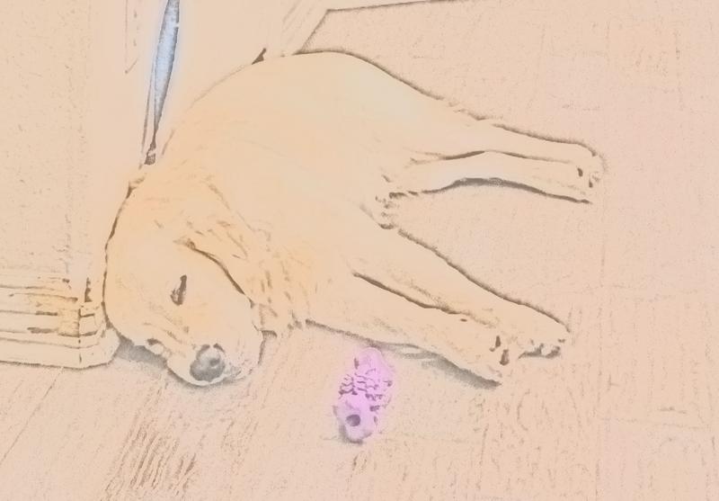 Customer photo 3 of 5. Click to open full size image.